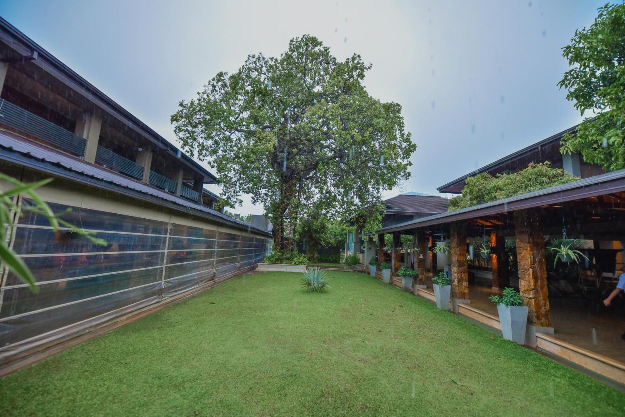 The Full Moon Hotel Katunayaka Buitenkant foto